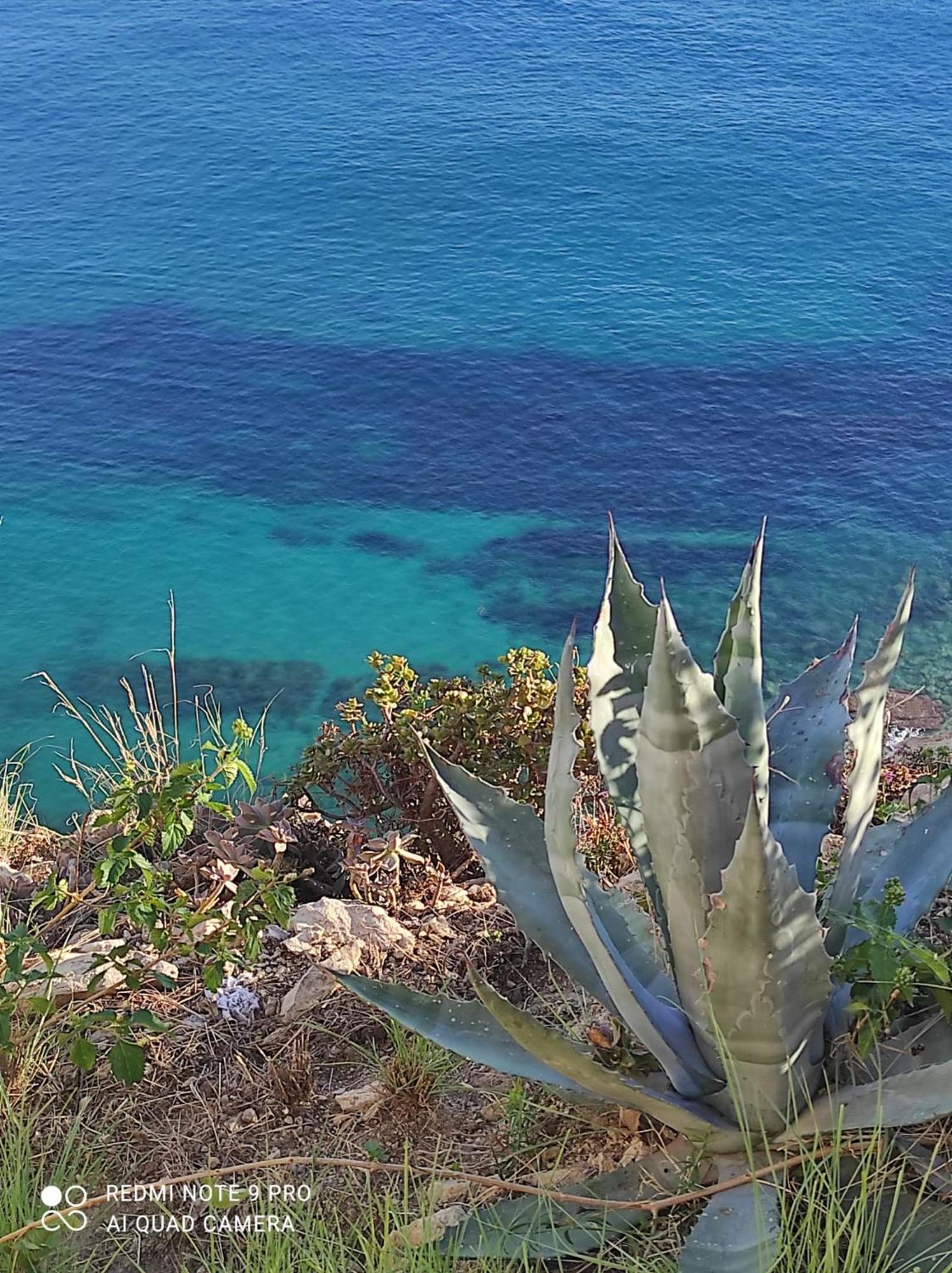 L'Aunisa Villa El Campello Eksteriør bilde